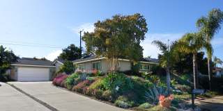 Furnished Single Story Home West of the Freeway Gallery 3