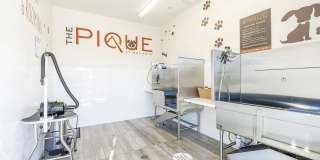 Pique at Iron Point Gallery 22