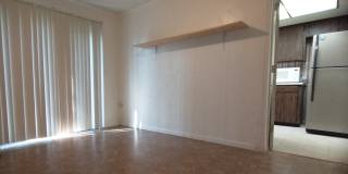 137 White St Gallery 9