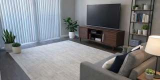 Garden View Gallery 1