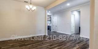 908 Sussex Cv Gallery 10