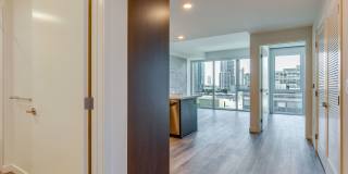 The Merian Gallery 36