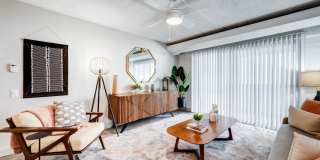 Capri on Camelback Gallery 2