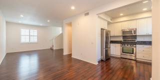 Ocean, #104 Gallery 8