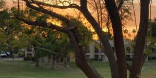 9450 N 94TH Place Gallery 11