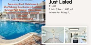 4411 Rustic Drive - 1 Gallery 1