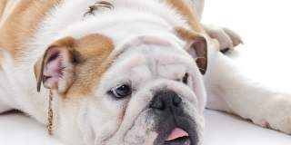 Triton Heights Gallery 15