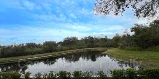 18111 SUGAR BROOKE DRIVE Gallery 40