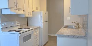 Washington Square Apartment Gallery 1