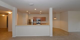 15746 Cotton Tail Gallery 8