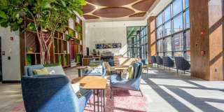 The Chelsea Gallery 29