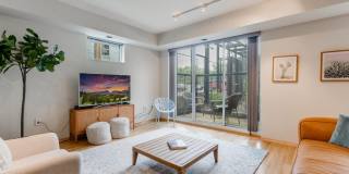 Blue and Lime Gallery 1