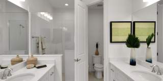 Marisol Bradenton - Built to Rent Housing Gallery 38
