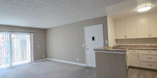 652 Moss St Gallery 38