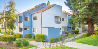 Montage at Fair Oaks Apartments Gallery 48