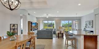 10156 N Orchid Reserve Drive Gallery 14