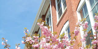 Spark Millbury Gallery 15