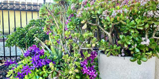 2365 Fallingtree Drive Gallery 2