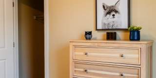 Paugus Woods Gallery 24