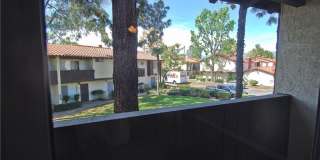 1097 Santo Antonio Drive Gallery 16