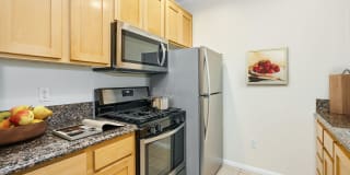 The Piero Gallery 43