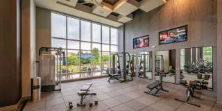 The Emerson Gallery 22