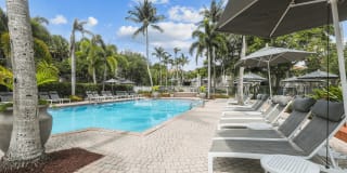 Coconut Palm Club Gallery 10