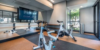 Coastline Ventura Gallery 27