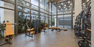 10X Las Olas Walk 10X Las Olas Walk Gallery 14