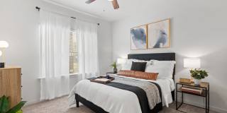 Water Oak Gallery 12