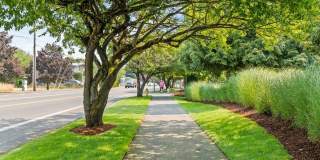 Avalon Park Gallery 16