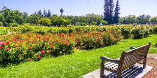 Windsor Winchester Windsor Winchester Gallery 48