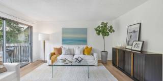 The Aspen South Coast Gallery 12