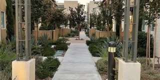 2821 Lily Lane Gallery 25