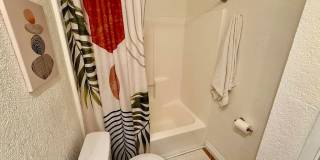 2875 N Los Felices Rd Unit 107 2875 N Los Felices Rd Unit 107 Gallery 1