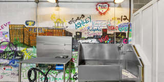 Anthem on Ashley Gallery 24