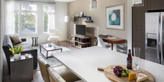 Currents on the Charles Gallery 7