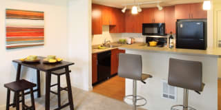 Avana One Six Four Gallery 35