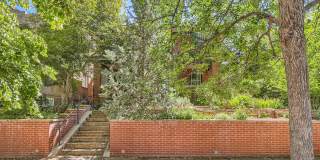 954 North Pearl Street Gallery 20