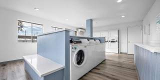 Sierra Pines Gallery 16