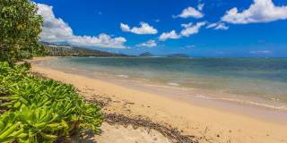 2bd/2ba Home w/Private Pool, Upscale decor, & Near Kahala Beach. Kahala Cottage Gallery 23