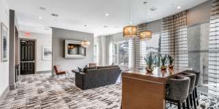 SilverStream Gallery 15