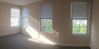 Southside Slopes - Amazing views of Downtown - Off-street parking Gallery 18