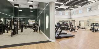 Avalon Melville Gallery 29