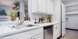 Steeplechase Gallery 31