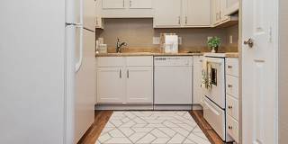 Pepperstone Gallery 38