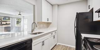 Mallard Creek Mallard Creek Gallery 35