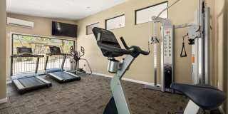 Coronado Palms Gallery 8