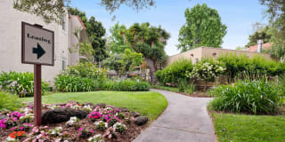Glen Oaks Gallery 9