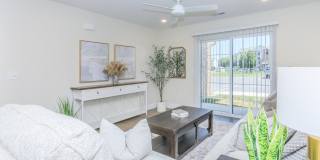 Orchard Park Gallery 1